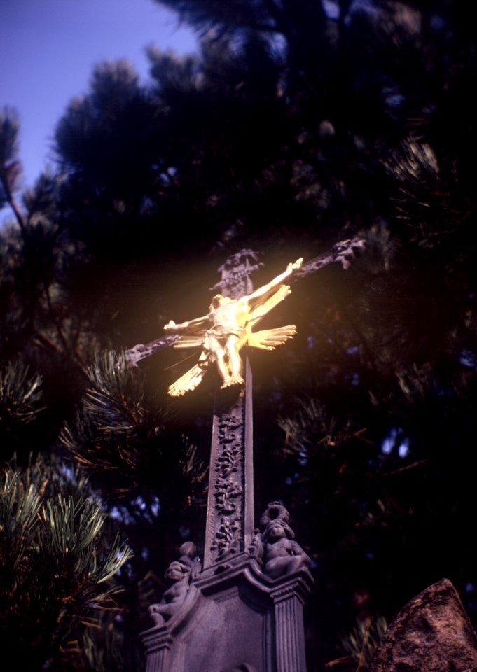 Portrait Brownie No2 - Crucifix in Hospital 2