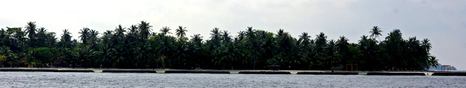 DSC01869