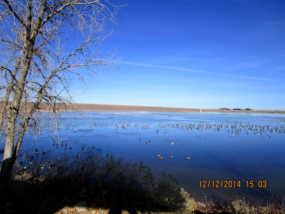 IMG 0798 Cherry Creek SP CO 12-12-2014
