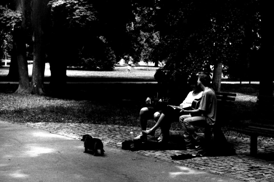 Kiev 4 + Helios-103 - Lads in the Park
