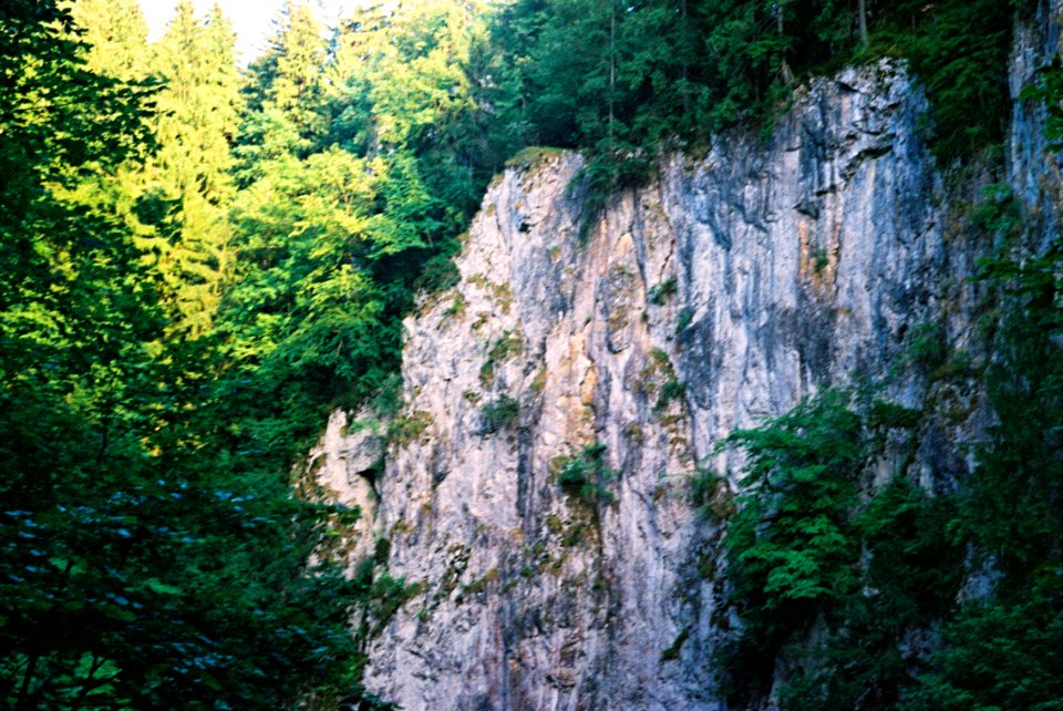 Exa + Tessar 2,8/50 - Rock face of Macocha Gorge