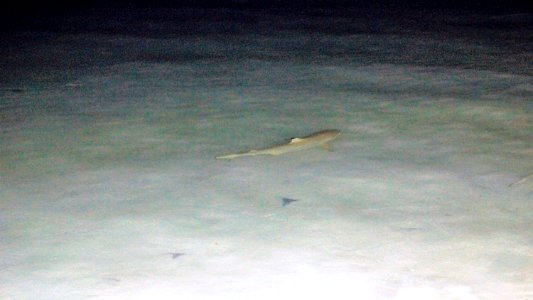 DSC01908