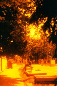 Vilia + Redscale - Quiet Street
