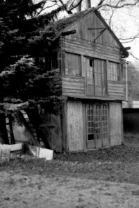 Praktica BX20 - Old House Study 01