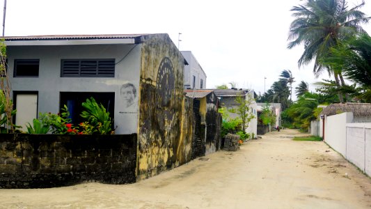 DSC01969