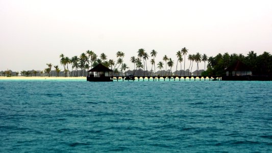 DSC01882