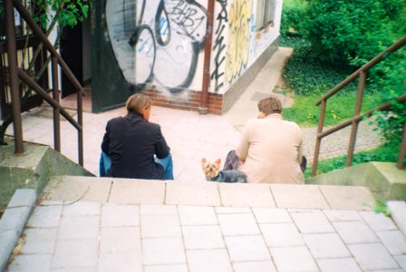 Vilia-Auto - Men with a Dog Sitting on Stairs