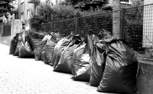 Praktica MTL 5 + Helios 44-2 2/58 - Bags with Grass