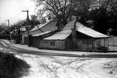 Lomo 135 VS - Písečník Colony 2