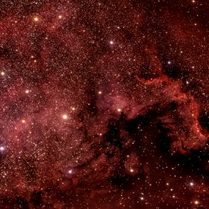 North America Nebula photo