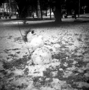 Altix I - Snowman 1