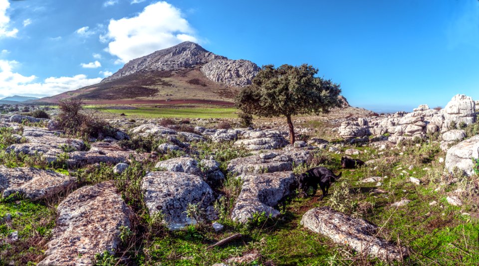 Paseando por el Torcal de Antequera
