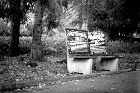 Ricoh TLS 401 with Helios 44-2 - A Bench in Hospial