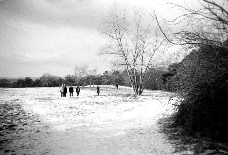 Orion EE - Winter Meadow