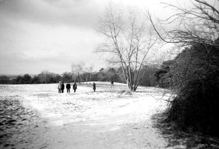 Orion EE - Winter Meadow