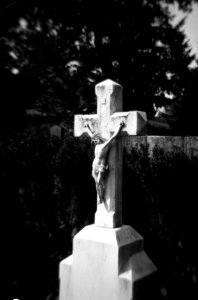 Holga 120FN - Gravestone 1