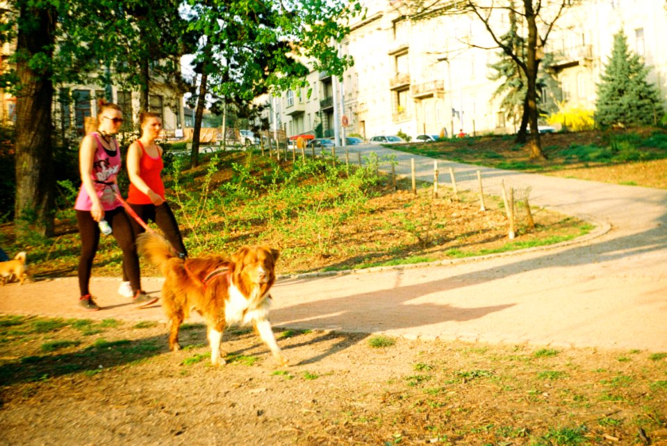 Smena Symbol - People in the Park 3