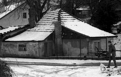 Lomo 135 VS - Písečník Colony 1