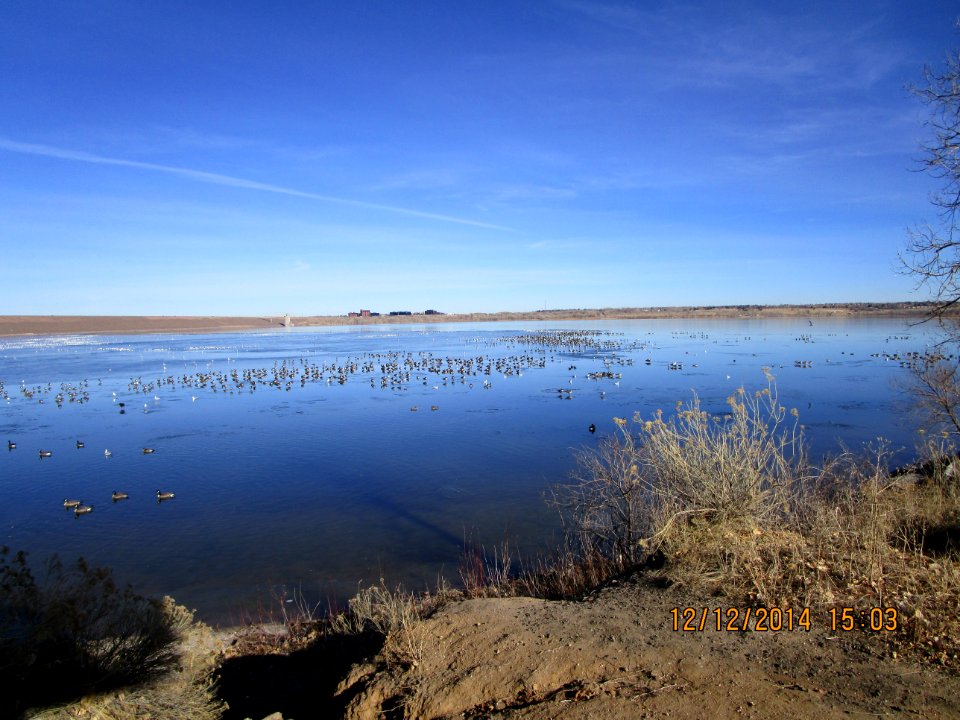 IMG 0799 Cherry Creek SP CO 12-12-2014