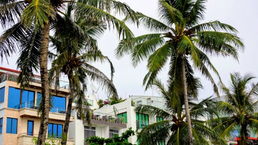 DSC01817
