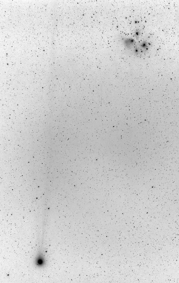 Comet Lovejoy (C/2014 Q2) and the Pleiades Inverted
