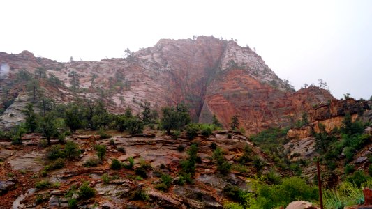 DSC04350