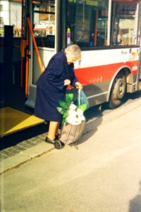 Beirette VSN - Woman with Flowering Bag