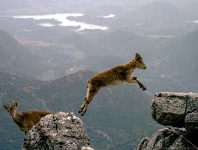 Salto de Fe - Jump of faith