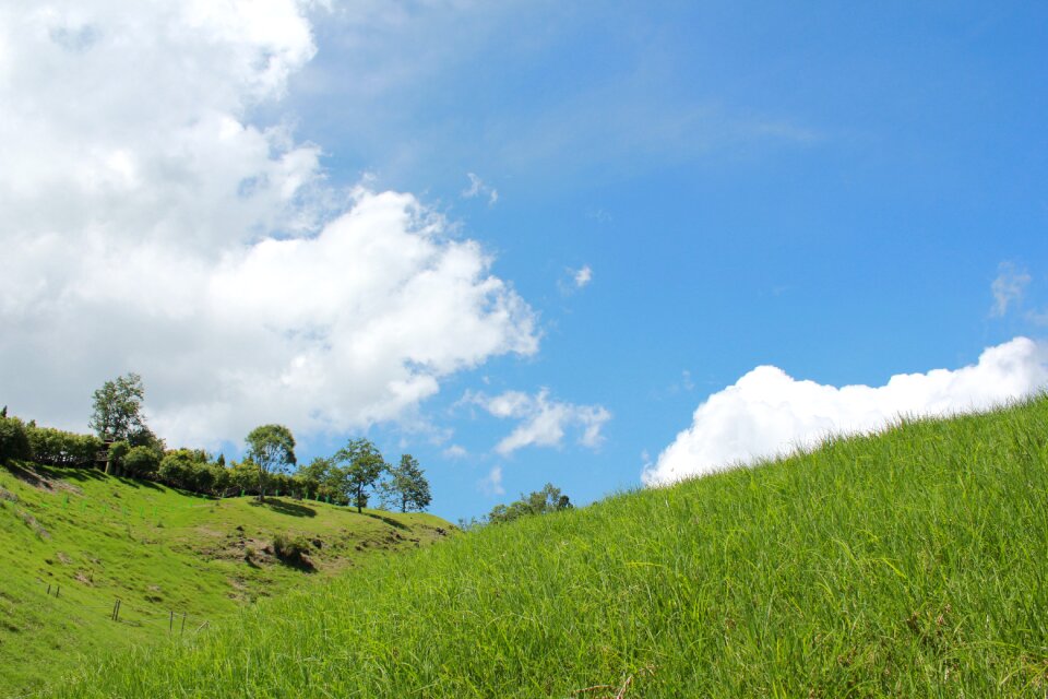 Sky views green grass photo