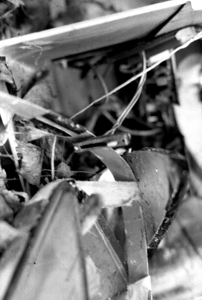 Praktica MTL 5 with Industar-61L/Z-MC - Beauties of Decay and Other Stories