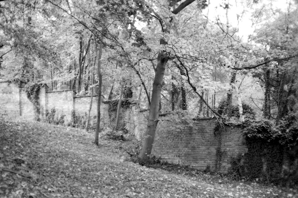 Minolta Hi-Matic G - Old Wall