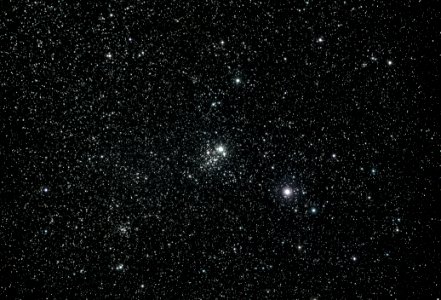 The Owl Cluster photo