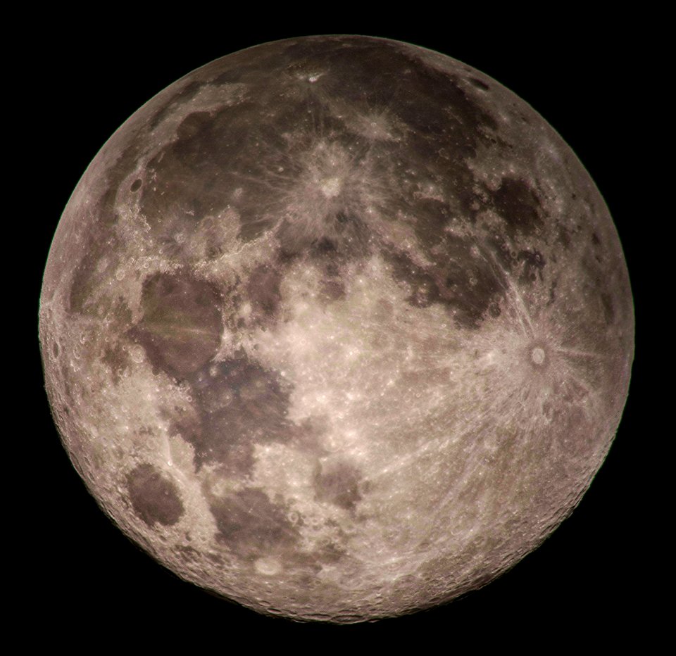“Yours is the light by which my spirit’s born. You are my sun, my moon, and all my stars.” - E.E. Cummings