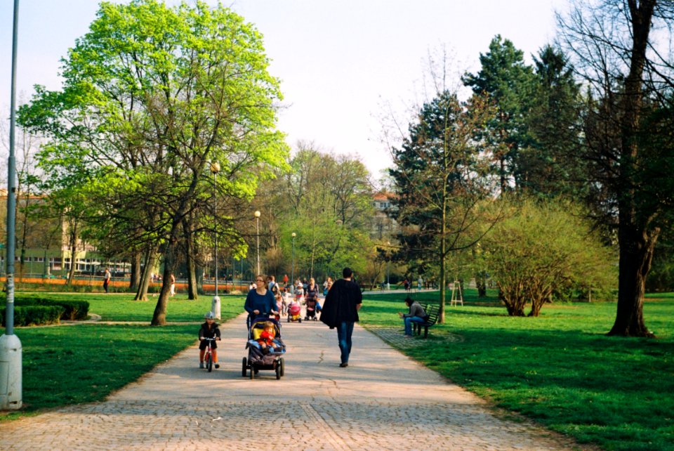 Smena Symbol - Spring in Lužánky Park 03