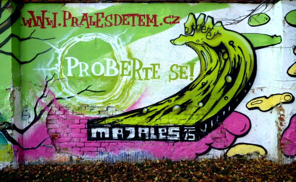 Graffiti - Little Park on Mendel's Square) 06