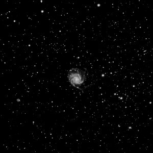 Messier 101 - The Pinwheel Galaxy photo