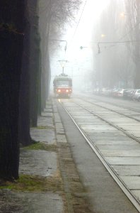 Misty Morning Tram 02 photo