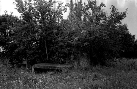 Exa + Tessar 2,8/50 - Beauties of Decay and Other Stories