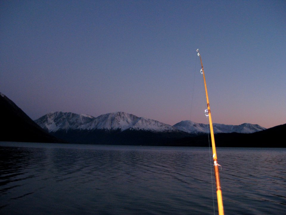 '14 night shot