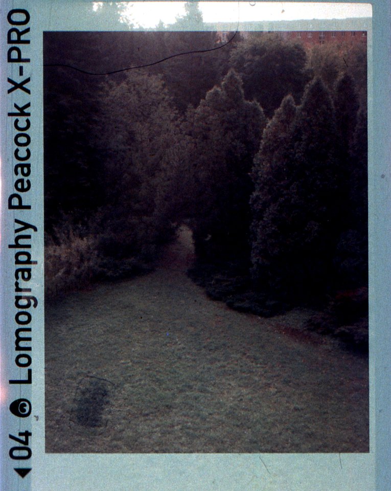 Kodak Instamatic 91 - From Psychiatric Ward Room Window 3