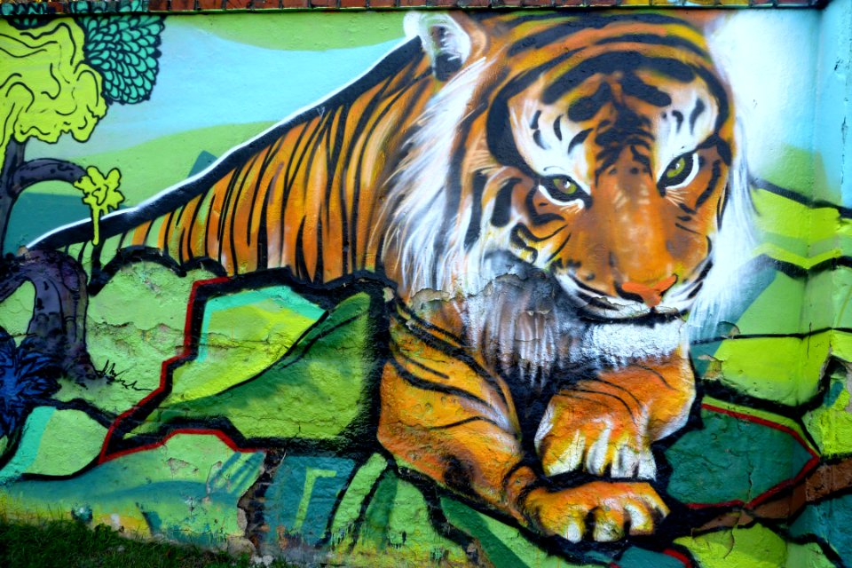 Graffiti - Little Park on Mendel's Square) 08