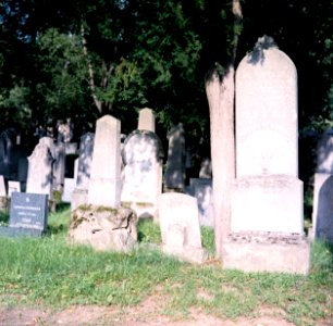 Flexaret 3a - Brno Jewish Cemetery photo