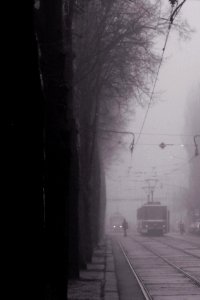 Misty Morning Tram 01 photo