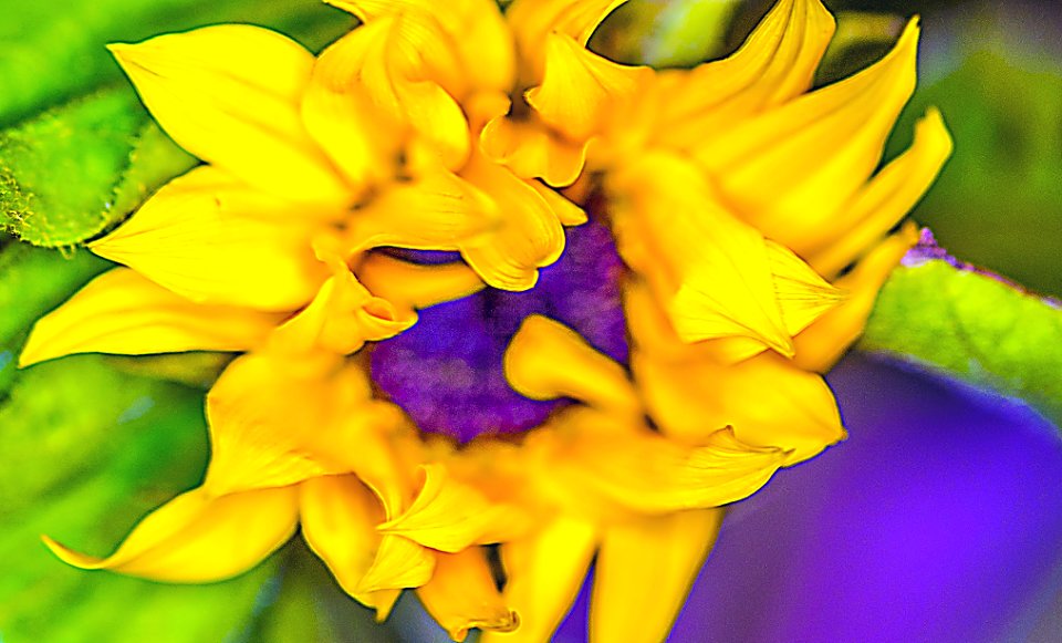 DSCF1259