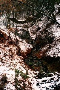 Praktica MTL 3 + Industar-61 L/Z - Valley in Brno-Lesná