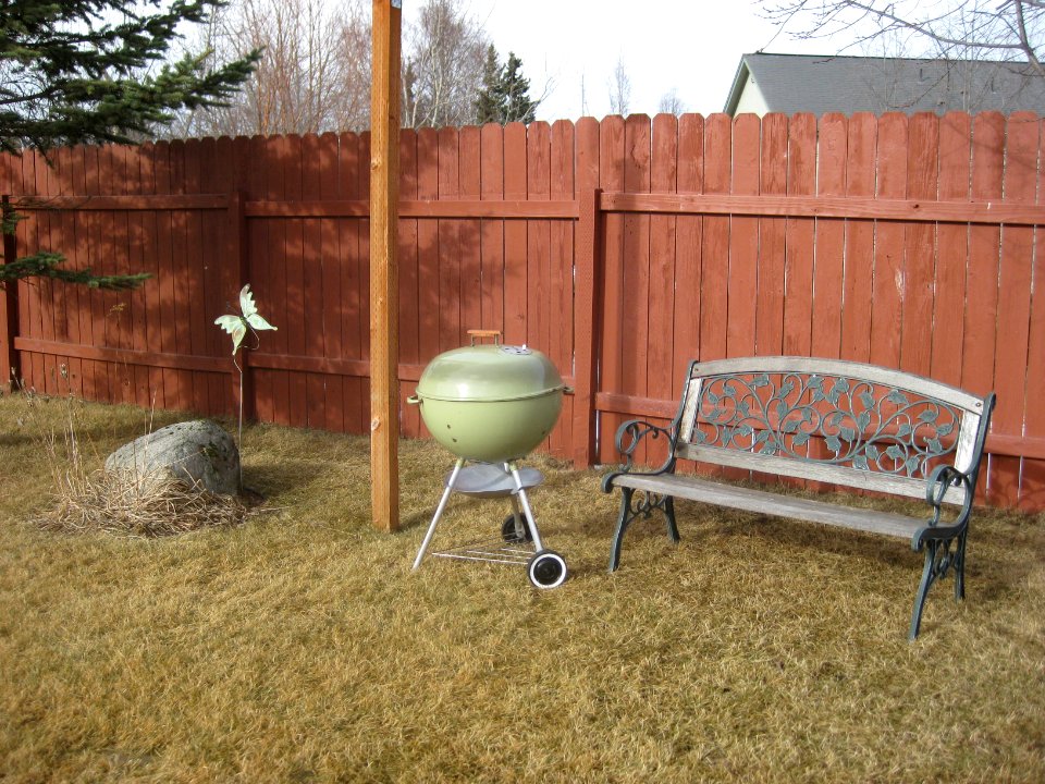 Weber Avocado Kettle