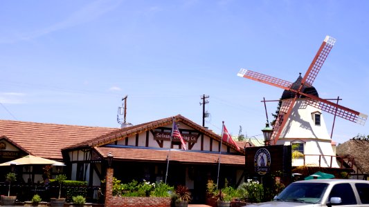 DSC04948