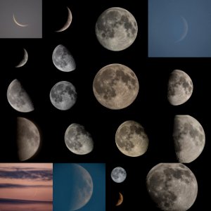 Lunar Collage - June/July 2014