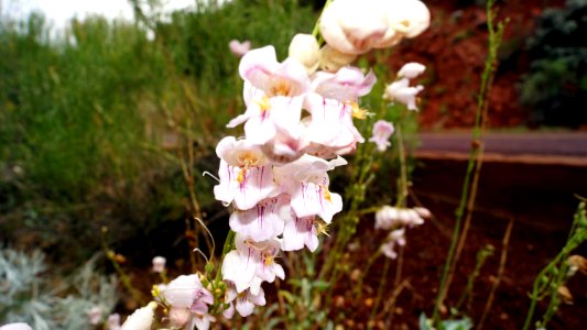 DSC04360