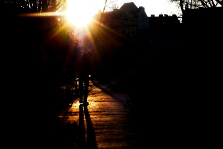 Contre-jour in the Park 02